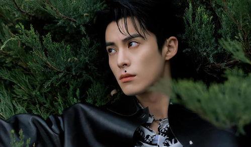 爆料王鹤棣追求田曦薇视频,甜蜜互动引网友热议 第3张 爆料王鹤棣追求田曦薇视频,甜蜜互动引网友热议 第3张